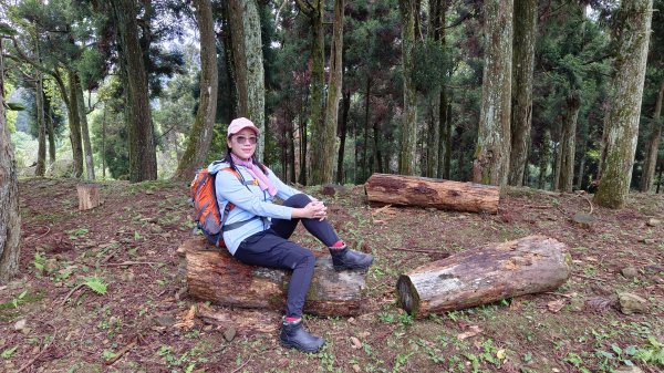 (姨婆趴趴走)第二集:桃園金牌縱走，攀登金平山、金平山南峰、牌子山，順道造訪三民蝙蝠洞2104915