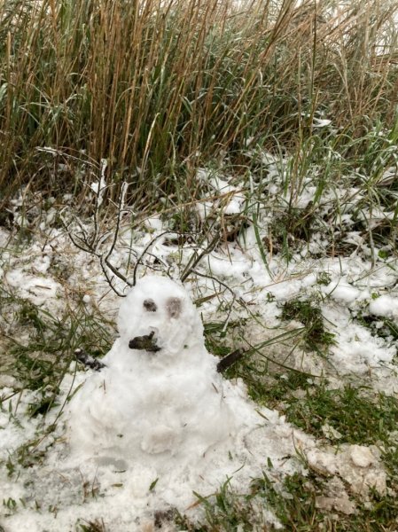 人生第一次賞雪(面天山、向天山)1246396