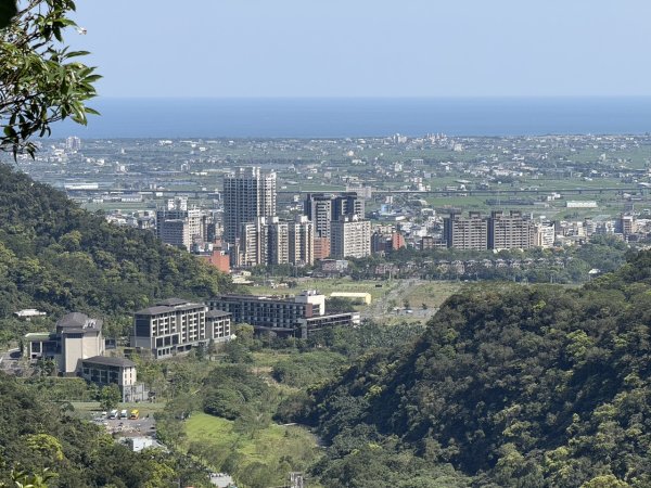 2025/03/21 聖母山莊 抹茶山 三角崙山2935072