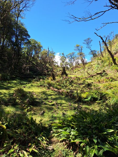礁溪烘爐地山202509282900329
