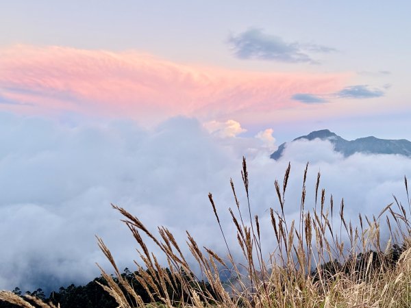 合歡東峰散步趣  2025.10.152923072