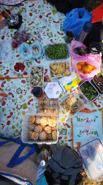 雪山東峰+武陵賞櫻2751205