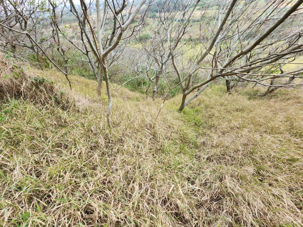 20250101海口山、糠榔埔山、闖水窩山及大牛朝山2726197