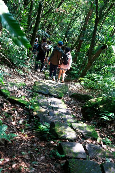 貂山古道與牡丹山O型2397873