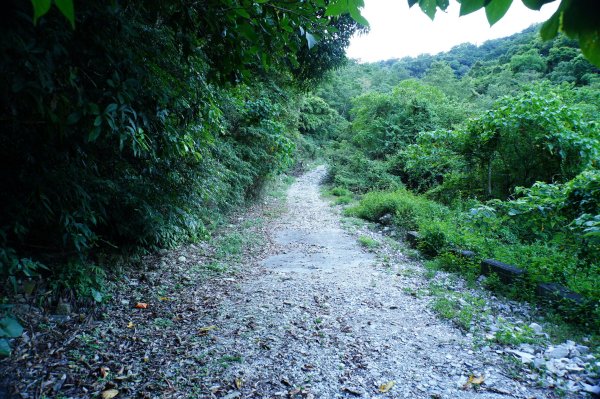 宜蘭 南澳 澳花山2881272