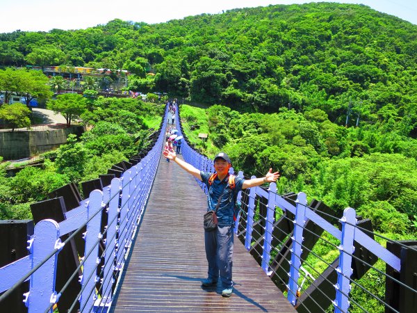 搭著捷運去旅行-白石湖賞花輕旅行610475