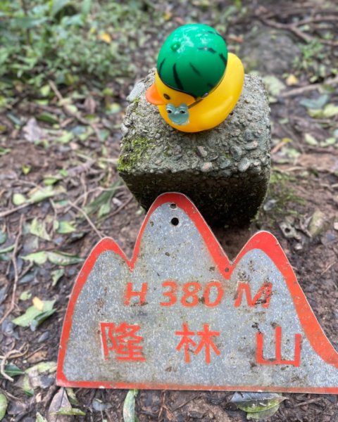 雪山尾稜-福卯古道-隆隆山-隆林山-田寮洋山-福隆O型2653751