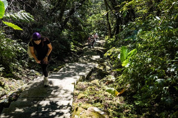 五分山｜小百岳2915431