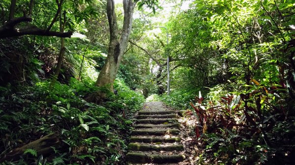 獅山環型步道2224672