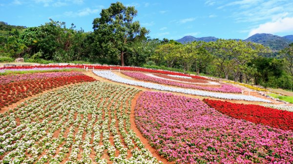 三層崎的呢喃2692135