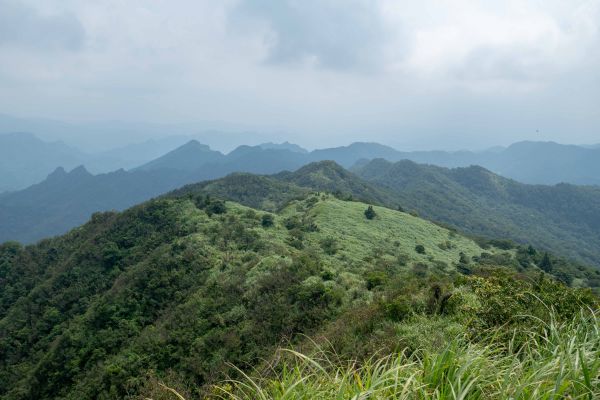 姜子寮山步道360461