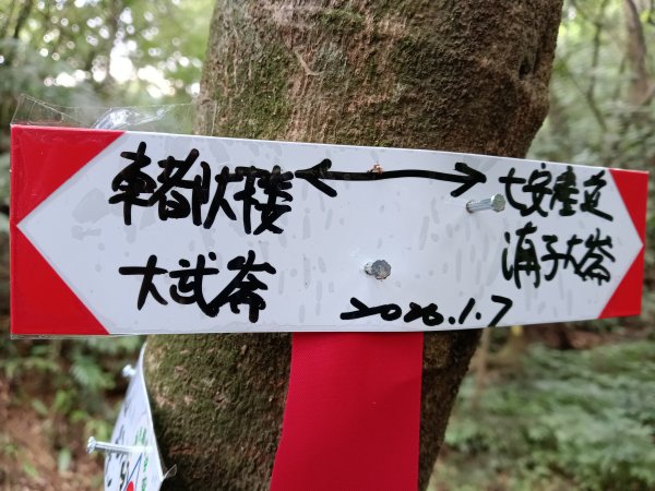 基隆市三層山+湳子大崙+淡基橫斷古道+面桶寮土地公2982214