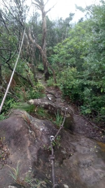 筆架連峰，二格山（小百岳）連走505705