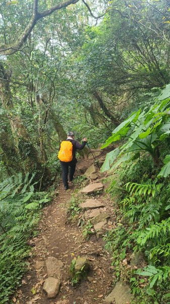 2026-0116 大屯三山_貴子坑_北投2984734