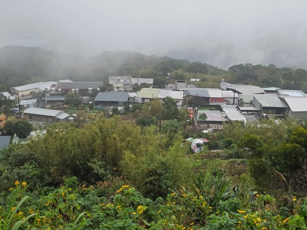 2025臺北大縱走第一段：關渡至二子坪2973526