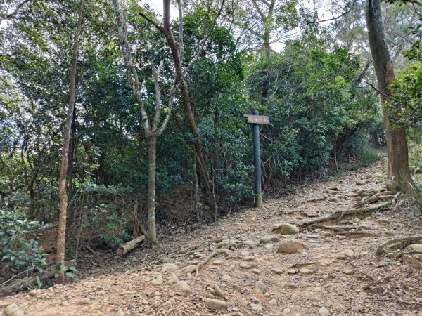 2023.11.01 蓮華山古道群2489015