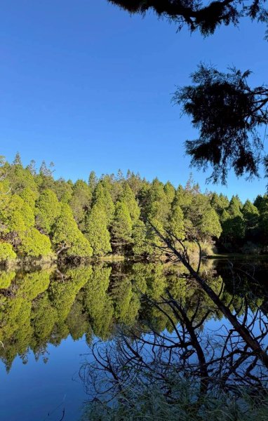 🌈11/29(六)-30(日)空靈系秘境~太平山-三星山(小百岳)⛰️+三星池~🌈2952232