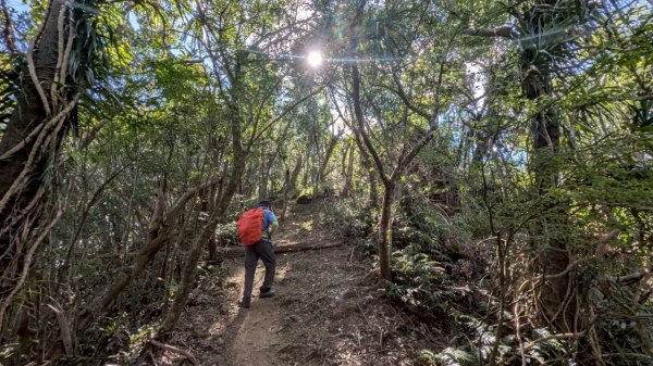 114.06.28內平林山-番子坑山-平湖森林遊樂區之O型2824264