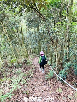 【台中和平】橫嶺山自然步道_木馬古道3095030