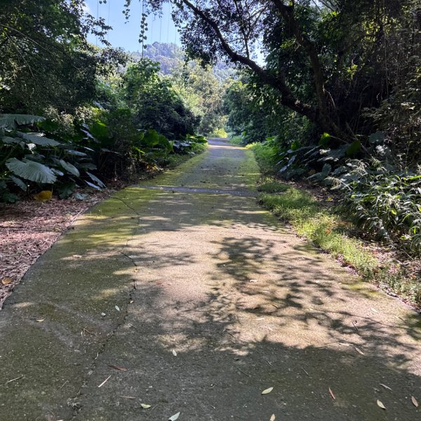 20250927 彰化－臺灣百大必訪步道坑內坑森林步道2969086