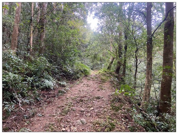 赫威山、多崖山、北插天山 連走2957271