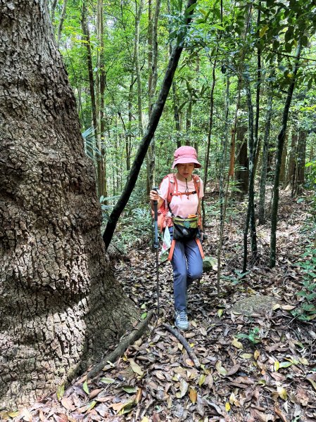 白毛山O繞+臭頭山 202505172791764