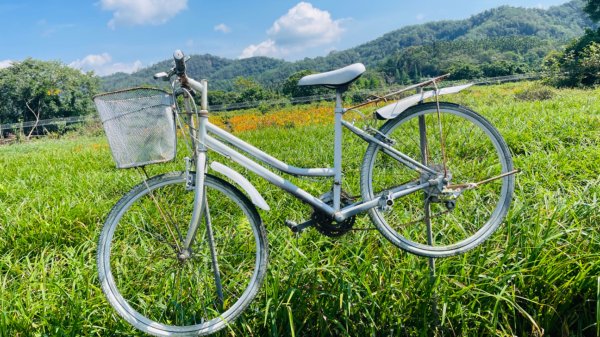 頭社活盆地2691010