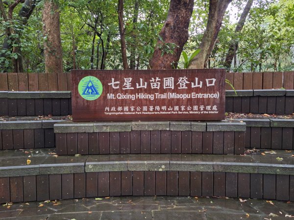 20251019 苗圃-七星山-小油坑2921117