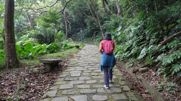 大溪晃晃(老街,御成古道,齋明寺古道,小角仔古道,田心子古道,街口溪步道)1891719