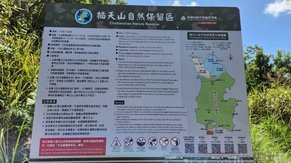 【中級山】是誰，在森林裡施放了魔法與巫術，幽靈草，如此魅惑，魔幻森林塔曼山2743714