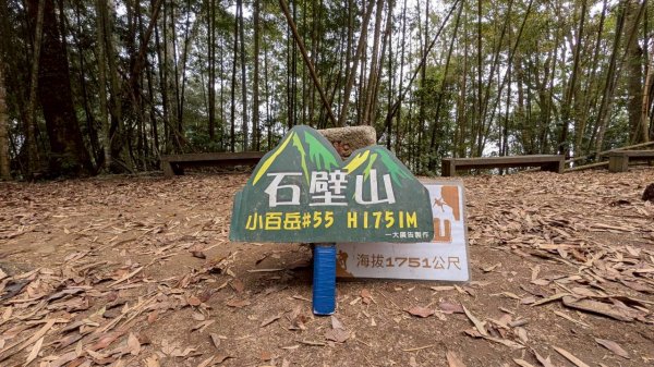 嘉南雲峰、石壁山步道3049097