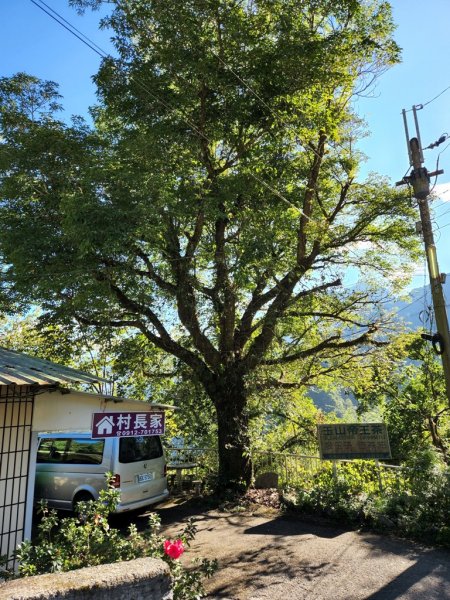 神木村-阿里山】神阿縱走1856833