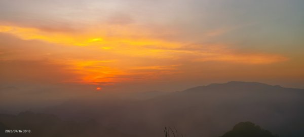雲山水花鳥蝶-天龍國阿伯的日常 7/162838394