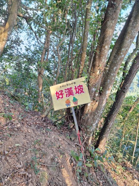 關西赤柯山+東西獅頭山+馬福山+玉山O型2670798