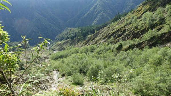 雙龍林道上巒安堂西巒大山1778655