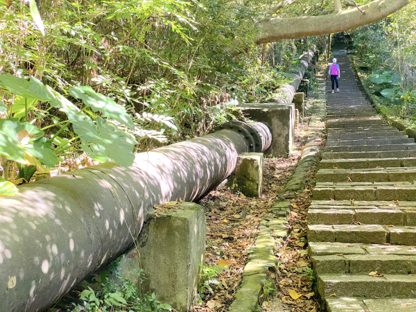 【肉腳練功記 No.17】天母古道（水管路） 紗帽山