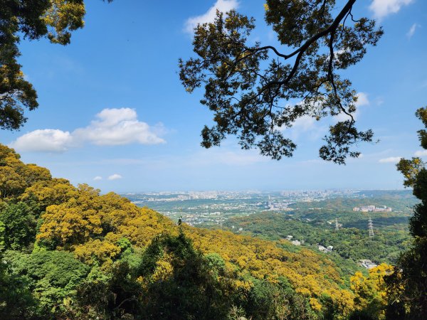 新竹芎林｜飛鳳山×石壁潭山｜飛石步道南線下切至觀日坪古道1800m入口3045972