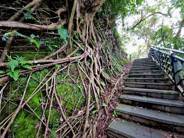 (二格山系)和美山螢火蟲-2025微笑山線大縱走尋寶集章任務2855251