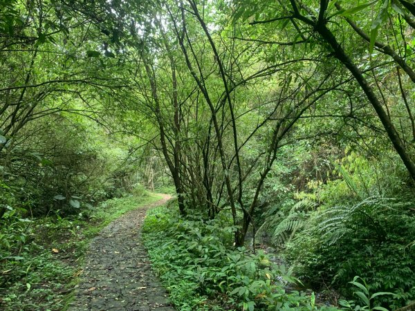 大崎棟古道、騎龍古道2772348