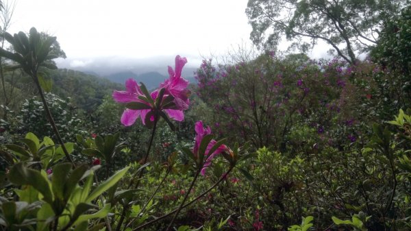 飛鳳山（小百岳）石壁潭山，觀日亭，中坑山501182