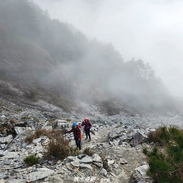 【高雄桃源】朝聖壯闊山景之南橫三星。 編號77百岳~關山嶺山2089024