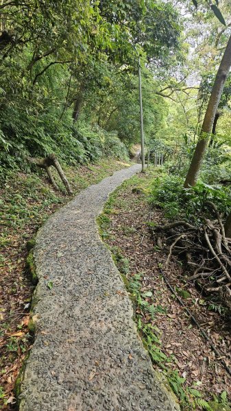 20260413天上山-三粒半（大中半小粒）-火焰山-太子嶺-雷公岩O型3037727