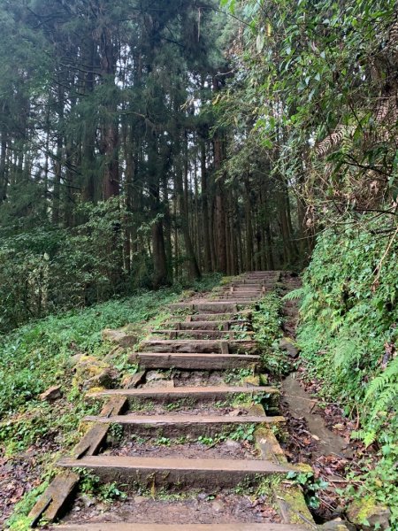 特富野古道1616419