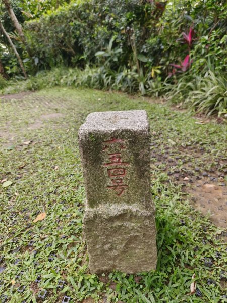 新北市-烘爐地山3053861