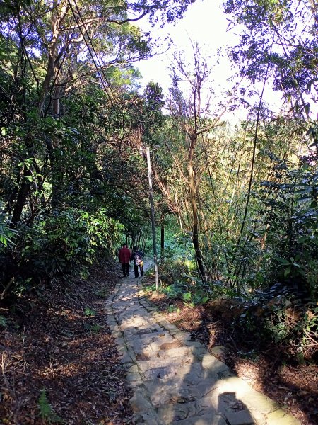 桃園大溪石門水庫楓林步道、齋明寺古道【南山神壽任務】1963932