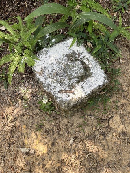 2024_0804 文間山2566401