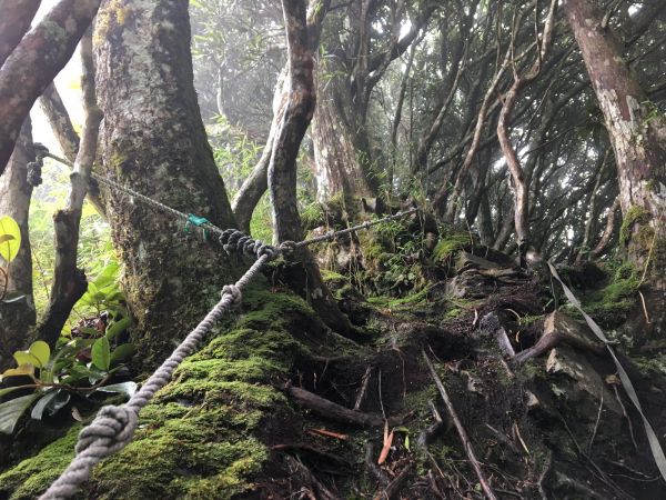 2018/06/18高台山連走島田三山353755