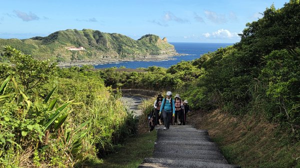 夏季的黃金十稜接九稜下門牙稜C型(草長路荒慎行)2880669