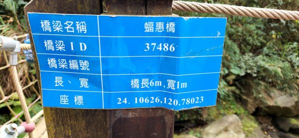谷關七雄波津加山，太平蝙蝠洞延伸步道，花蓮美崙山步道，台東鯉魚山2005367