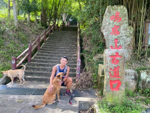 南隘勇古道.龍骨古道.綠色古道.延平古道.鳴鳳古道【一條很單調 一群才精彩】2812093